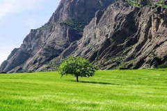 عکس ۴