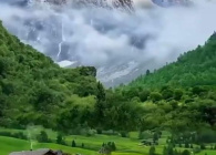 اخبار اجتماعی