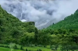 اخبار اجتماعی
